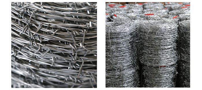 Galvanized Barbed WireBarbwire Barbed Wire Fence