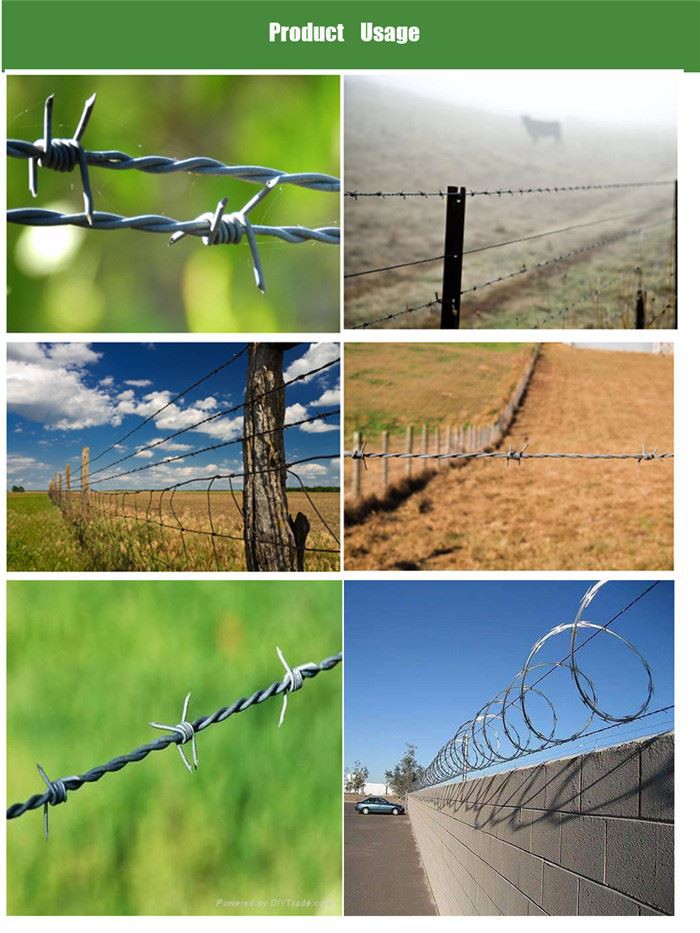 Galvanized Barbed WireBarbwire Barbed Wire Fence