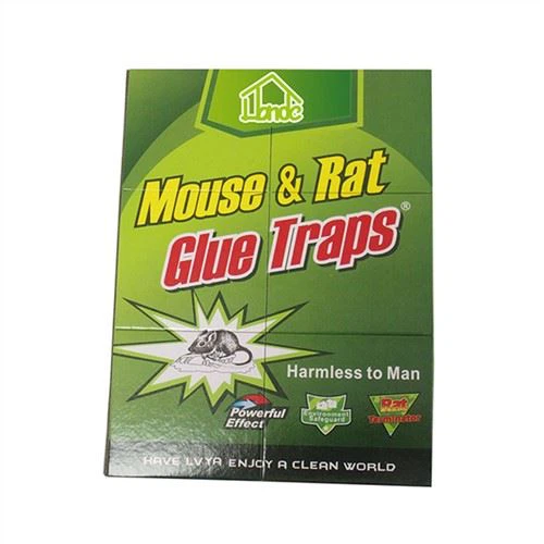 Trampa de pegamento para ratas