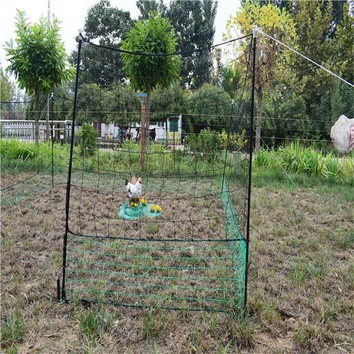 Chicken Net By The Metre