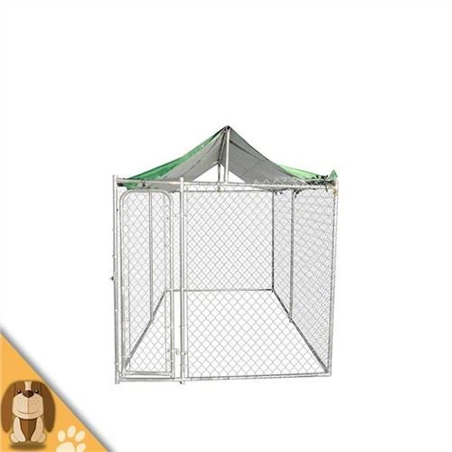 10×10Chain Link Dog Kennel