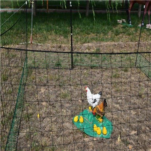 Esgrima de pollo fácil