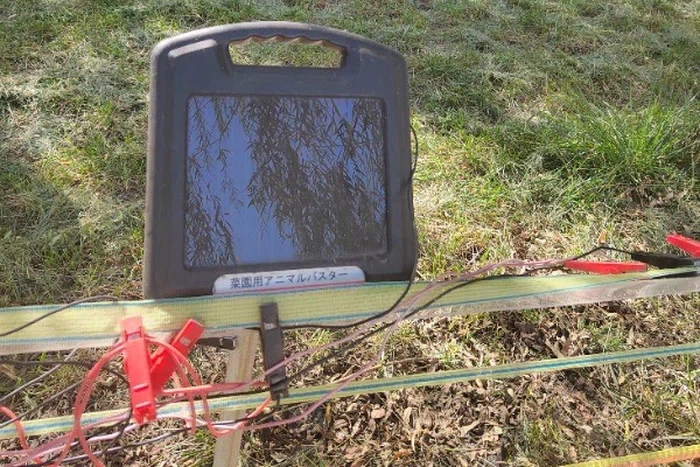 info-600-400 info-600-400